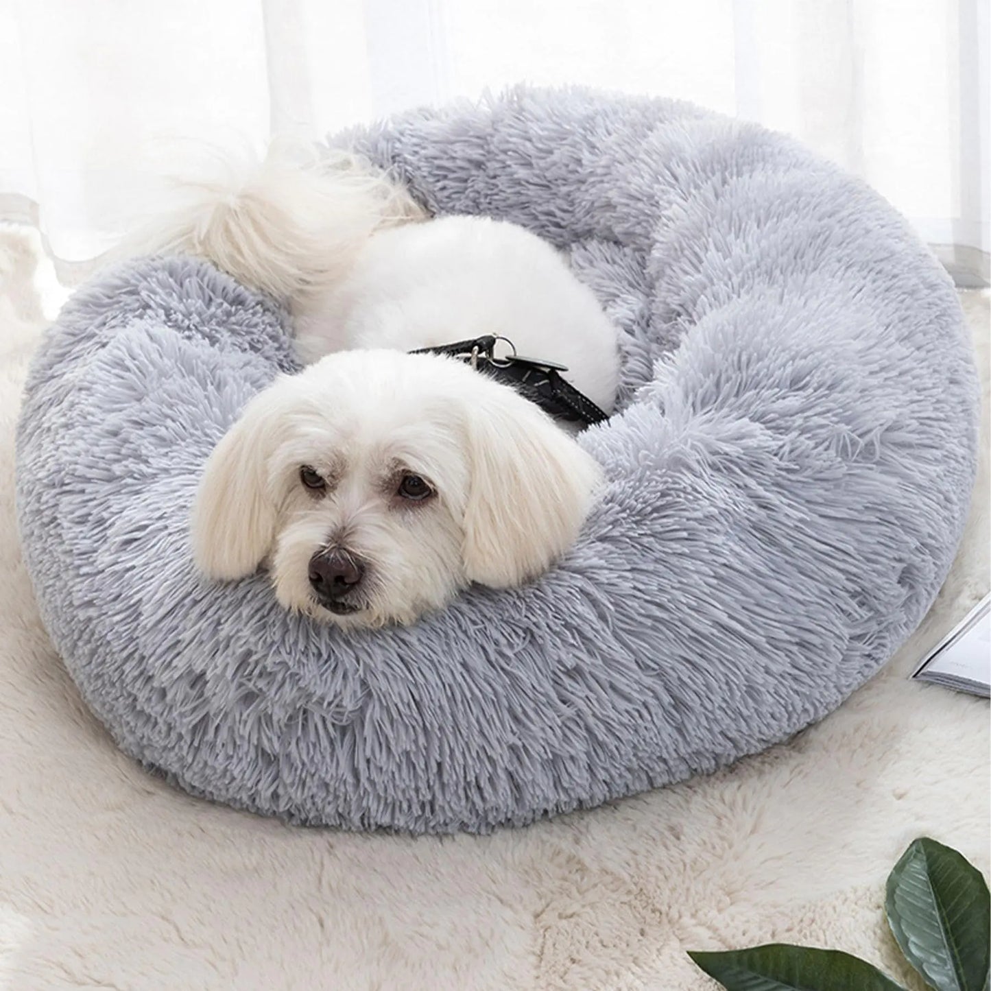 Cat Beds for Indoor Cats 20 inches Cat Bed Fluffy Round Dog Bed Calming Soft Plush (Grey)
